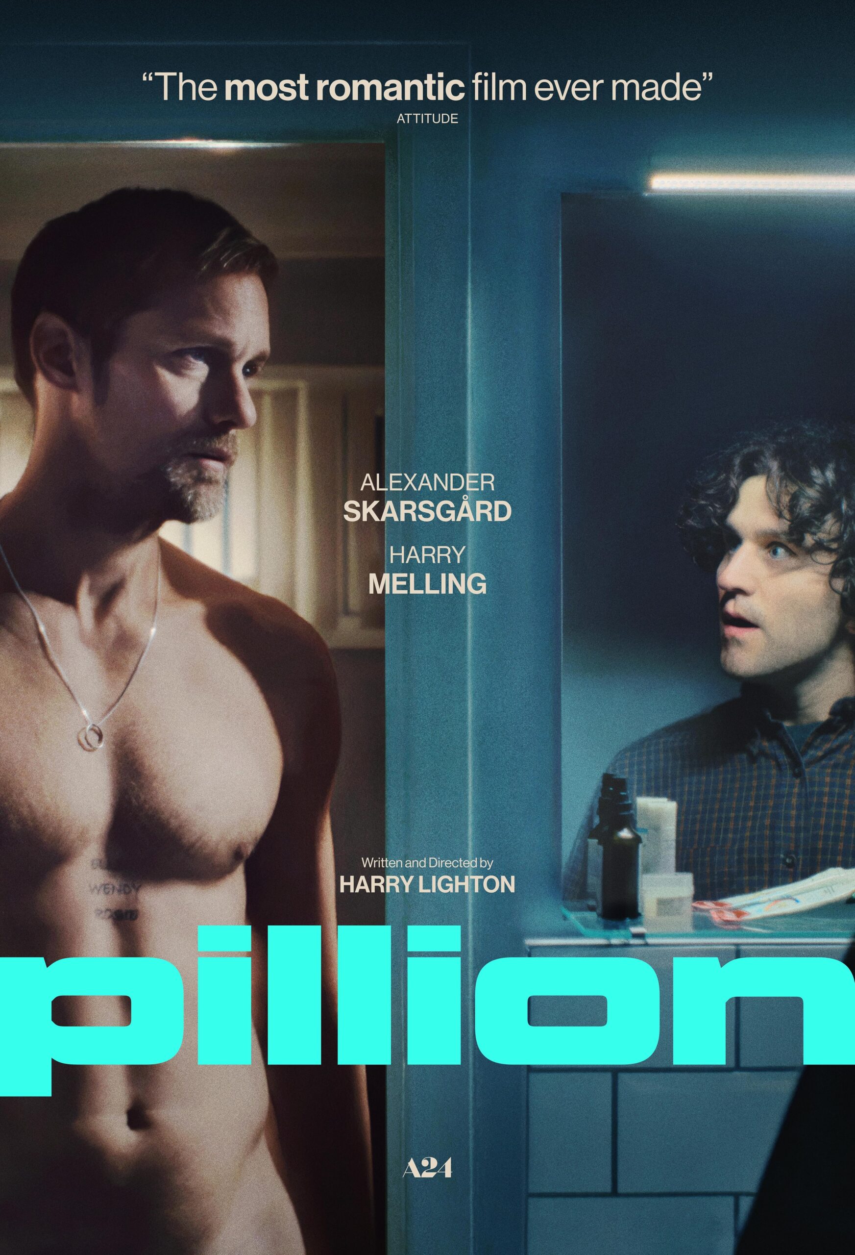 Read more about the article Pillion