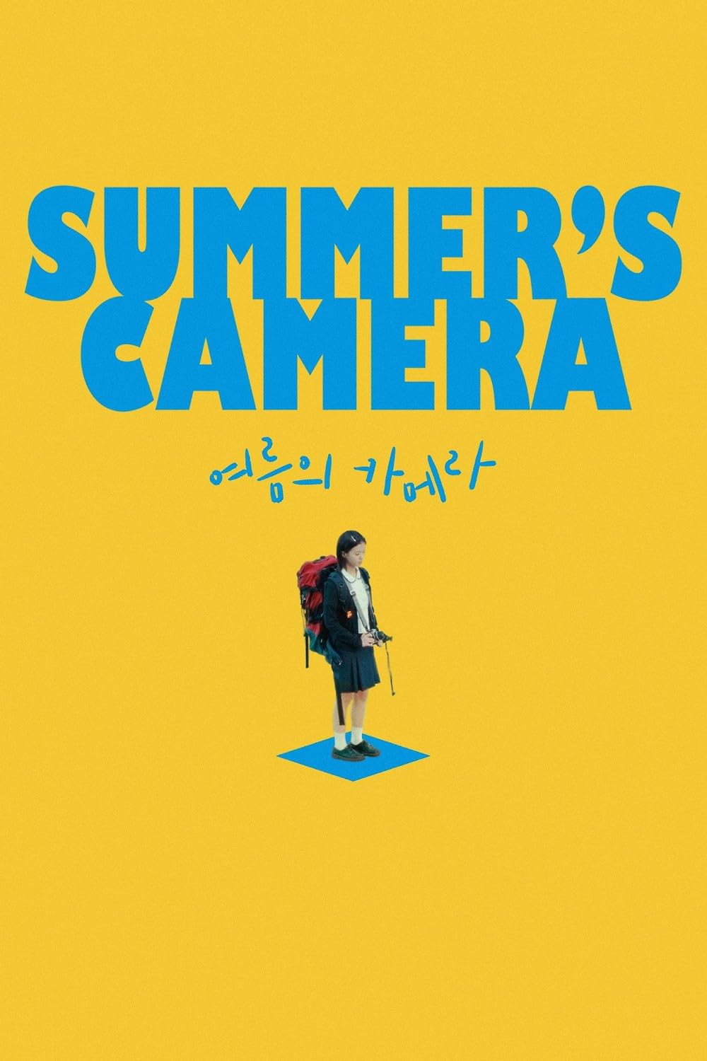 Read more about the article Summer’s Camera